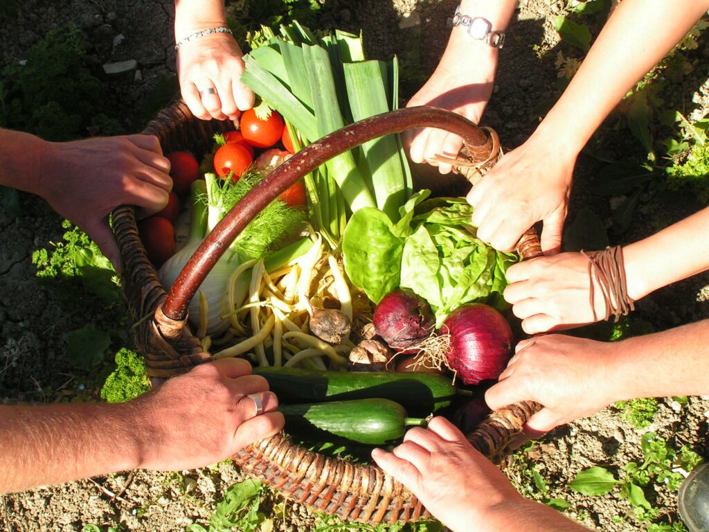 Ein Einkaufskorb voller frischem Gemüse. Mehrere Hände halten den Korb.