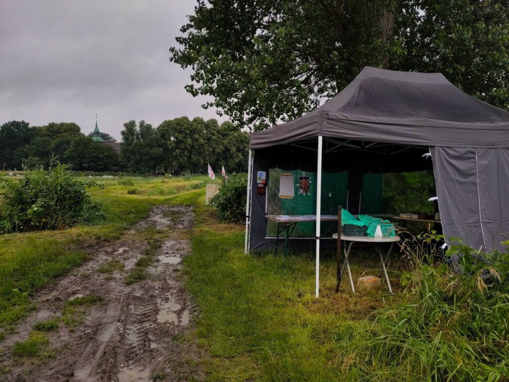 Der Pavillon auf unserem Acker in Ochsenwerder.