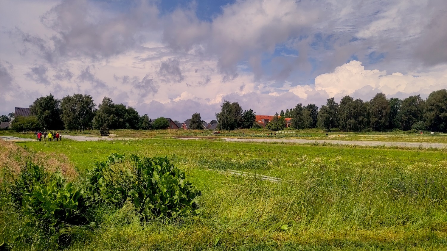 Blick auf den Acker